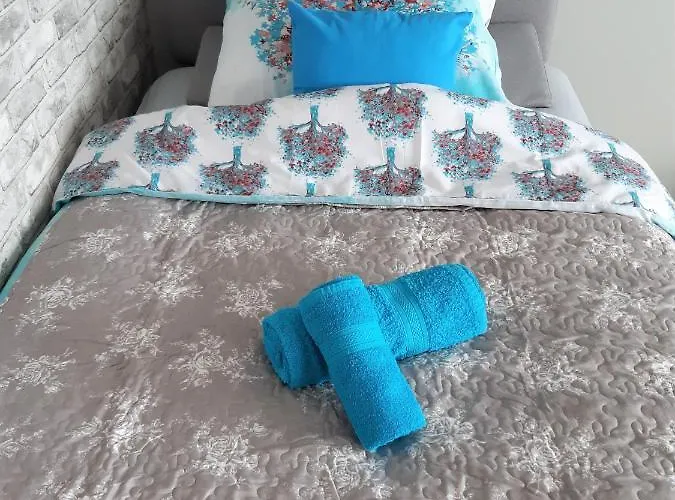 Apartamencik W Centrum * 露米雅